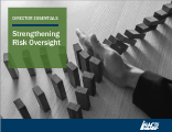 DE Strengthening Risk Oversight